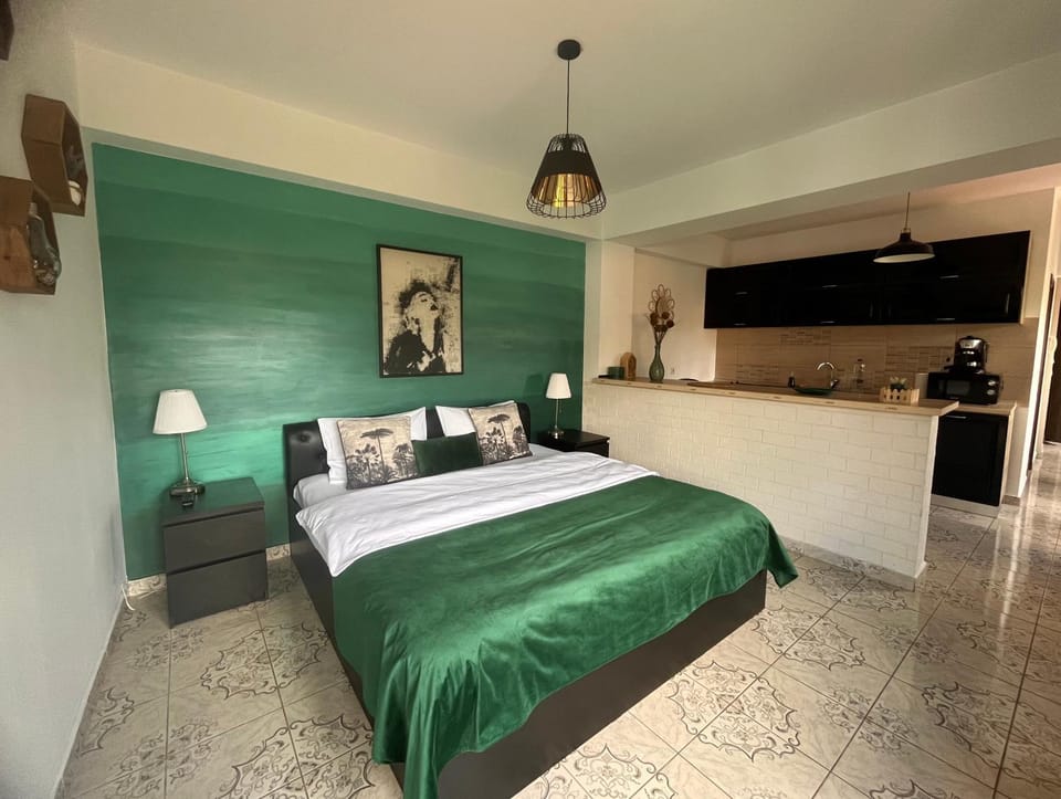 Natura City Center Studio Apartment in Brasov