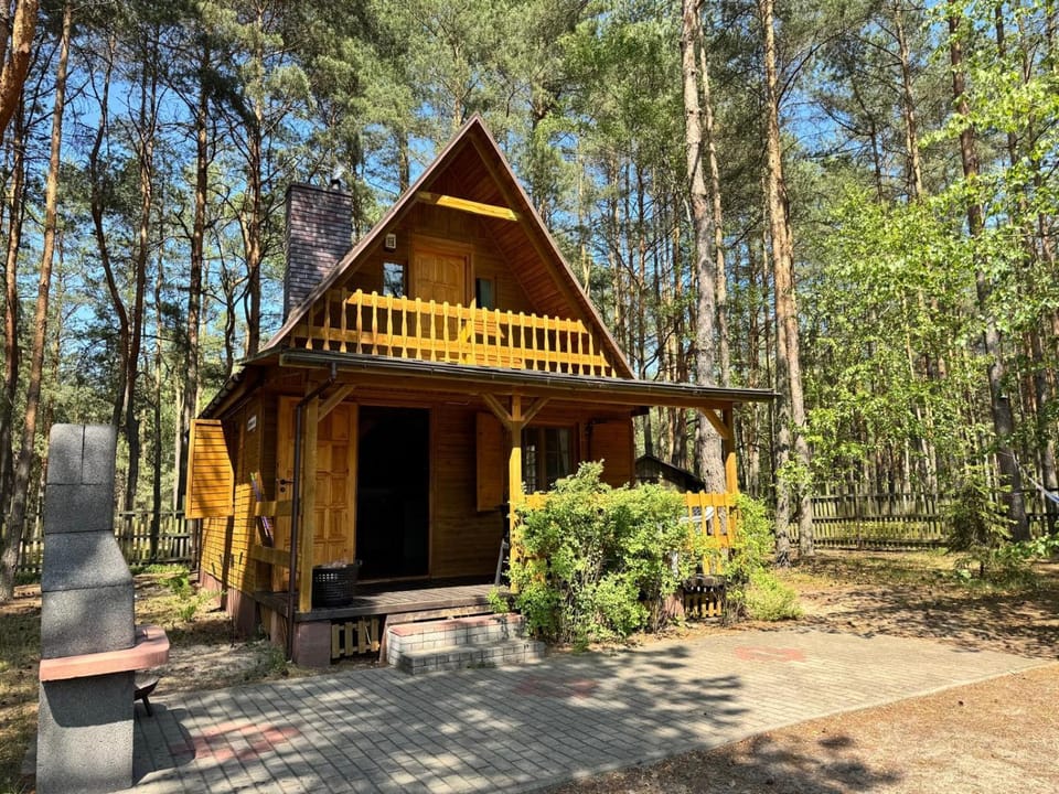 Property building, Natural landscape, Summer, BBQ facilities