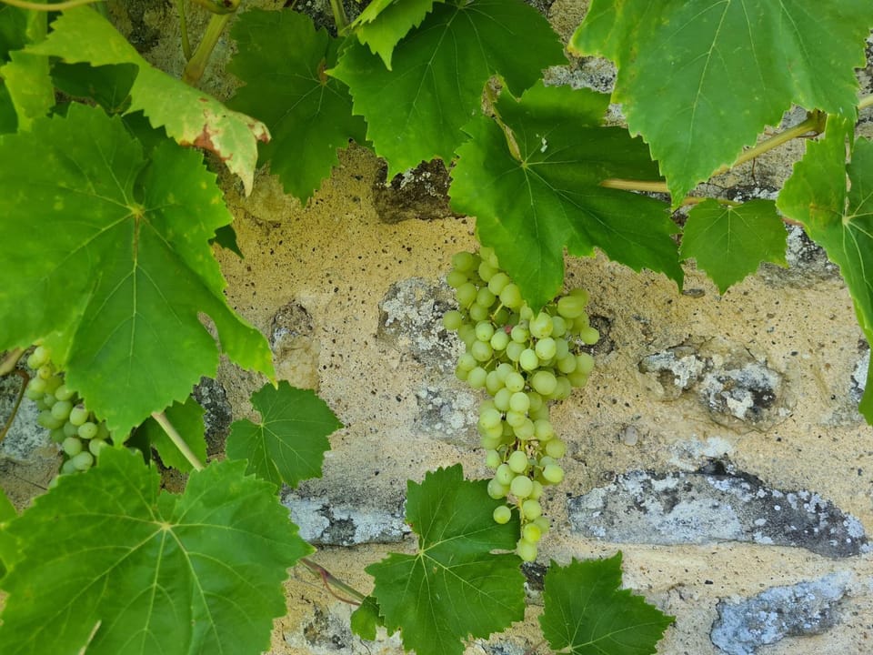 Le Coq en Repos Bed and Breakfast in Villeneuve-sur-Lot