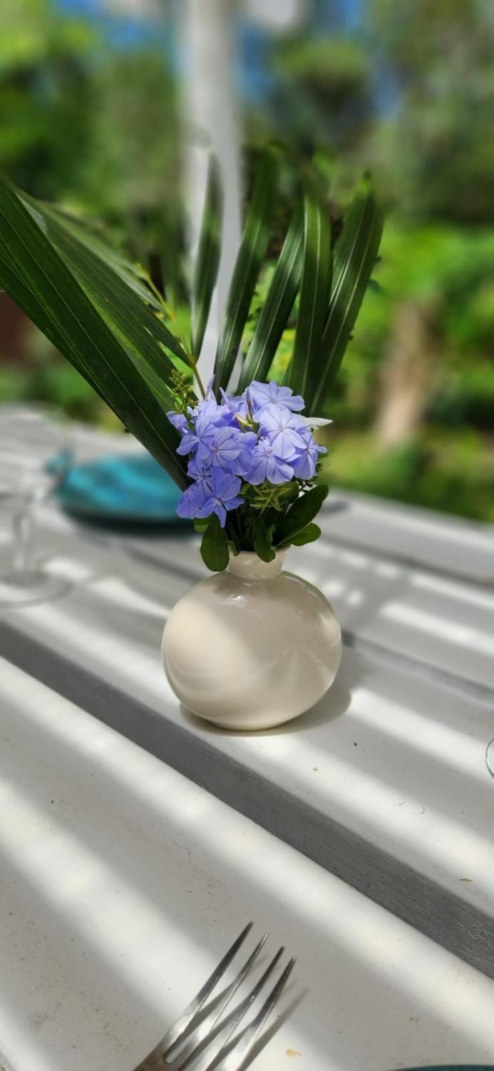 Cottage Manua House in Moorea-Maiao