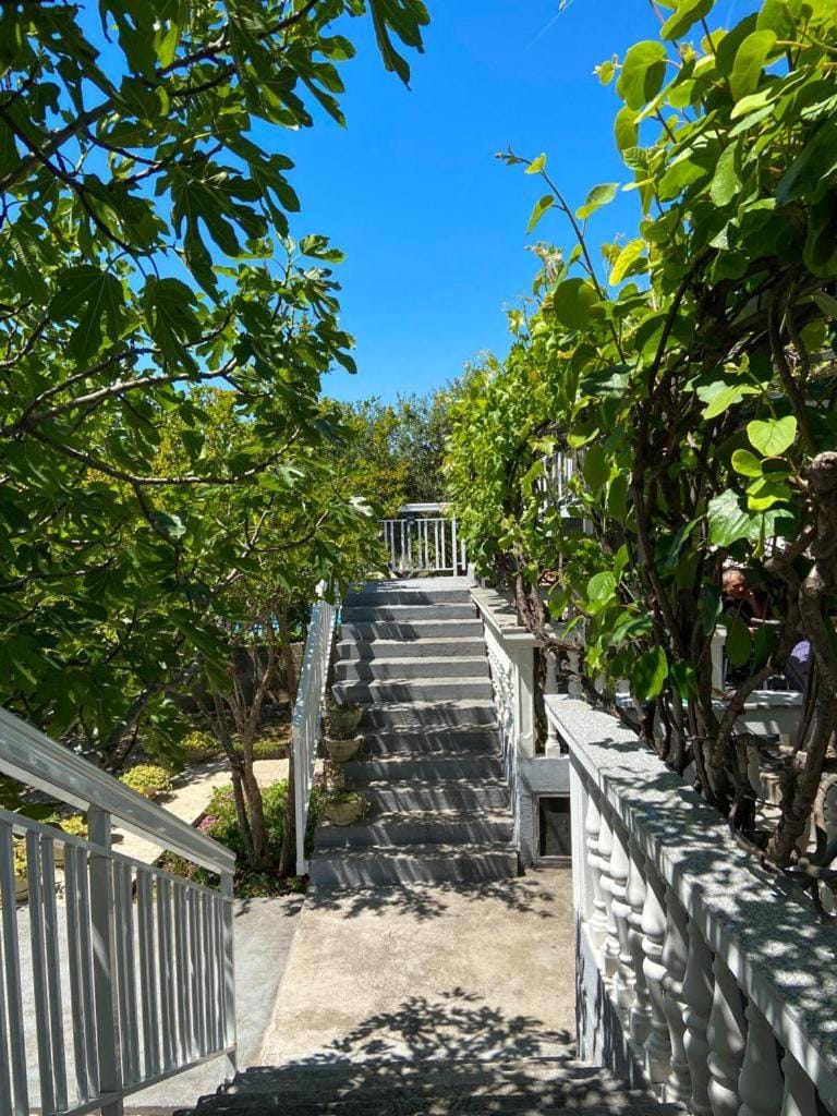 Garden, Garden view