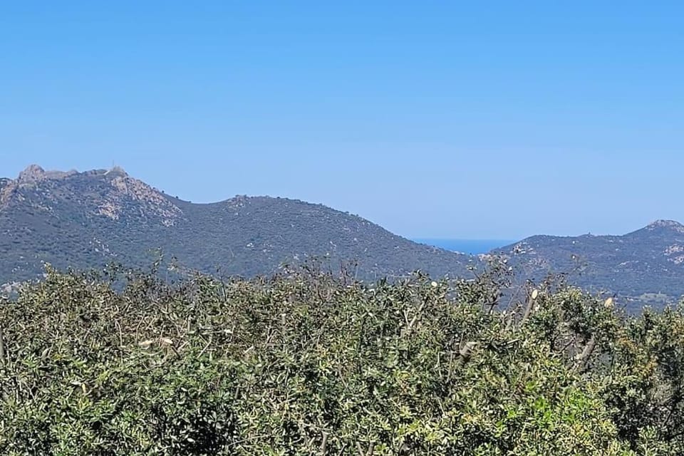 Maison avec piscine entre mer et montagne House in Corsica