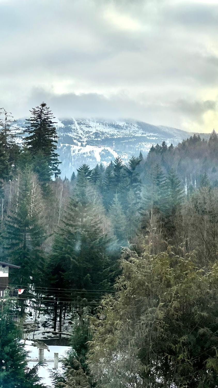 Mountain view