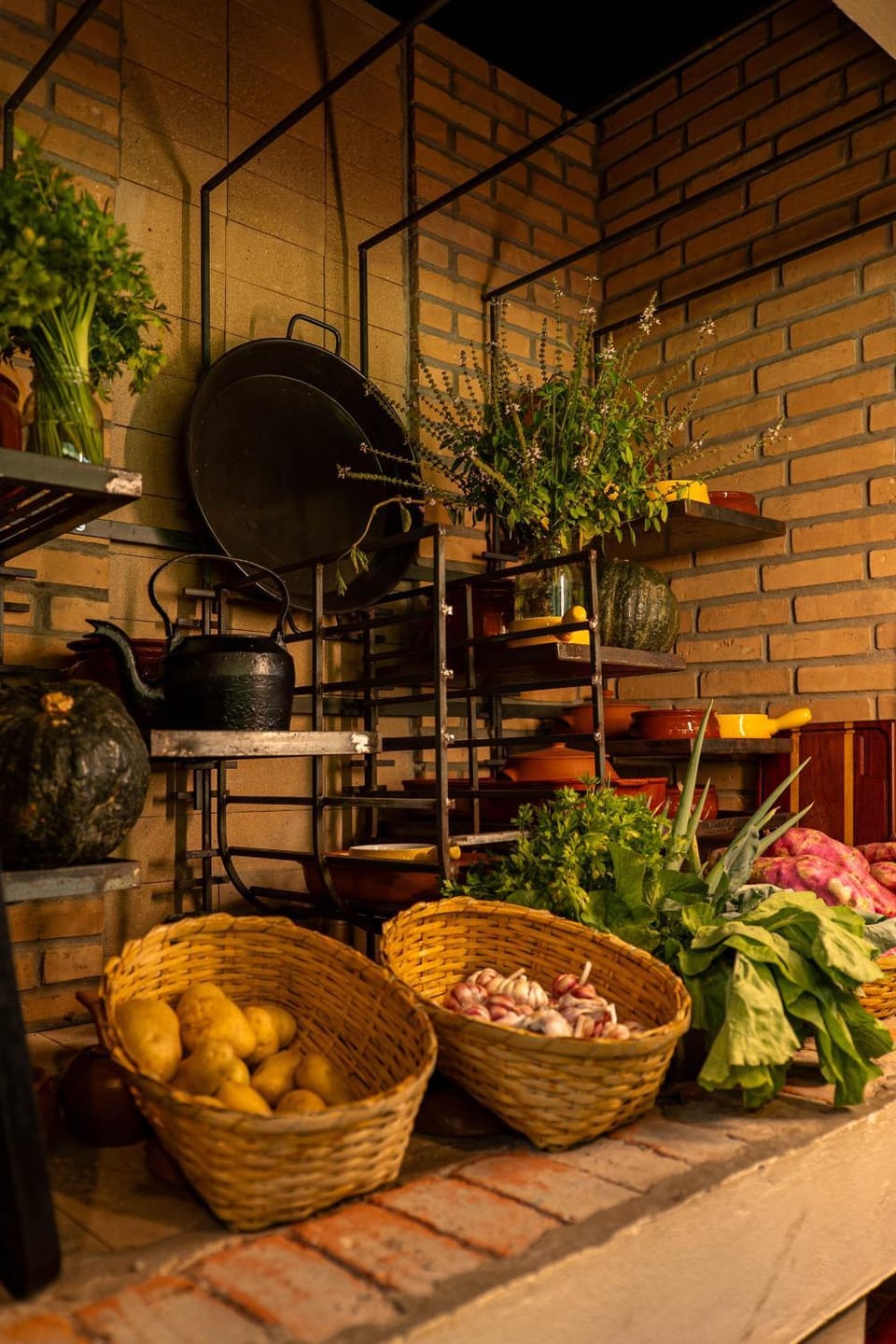 Reserva Mata Grande - Nature Park Bed and Breakfast in Mogi das Cruzes