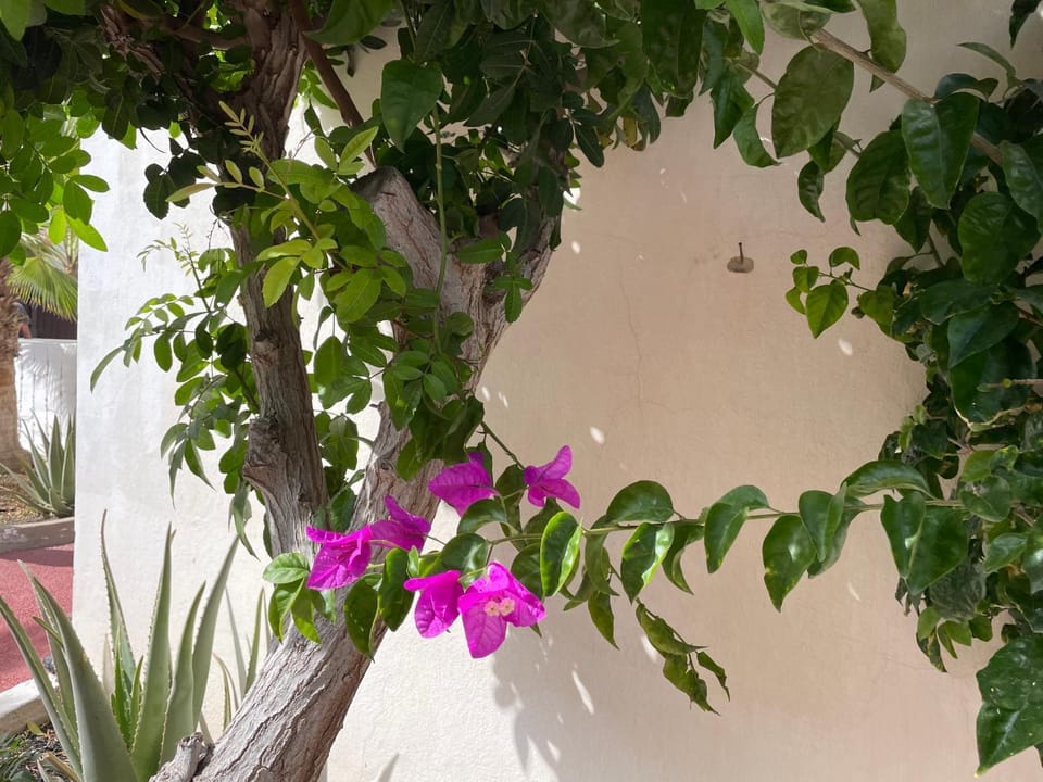 Parque Holandés Fuerteventura casa Mayte House in Maxorata