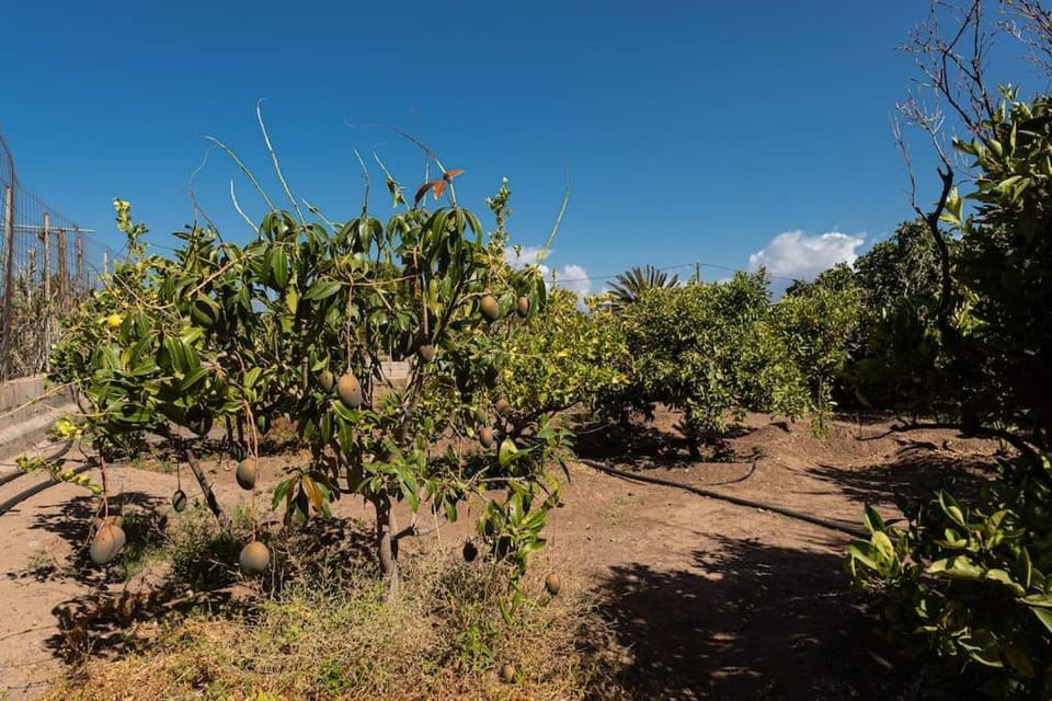 Vivienda vacacional CA' PEPITA Y JOSE House in Gran Canaria