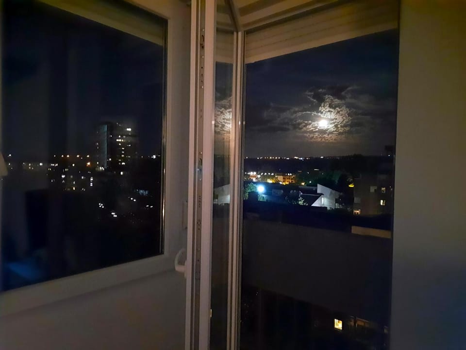 City view