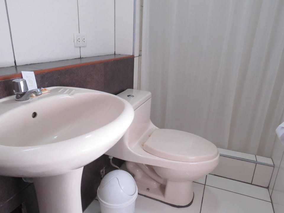 Toilet, Bathroom, bidet