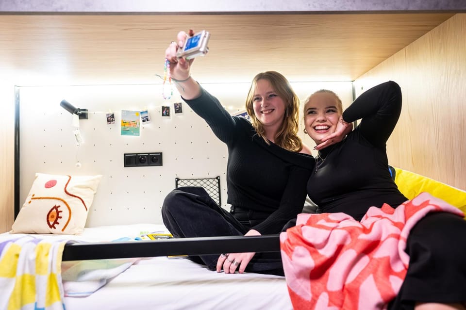 Bed, Seating area, bunk bed