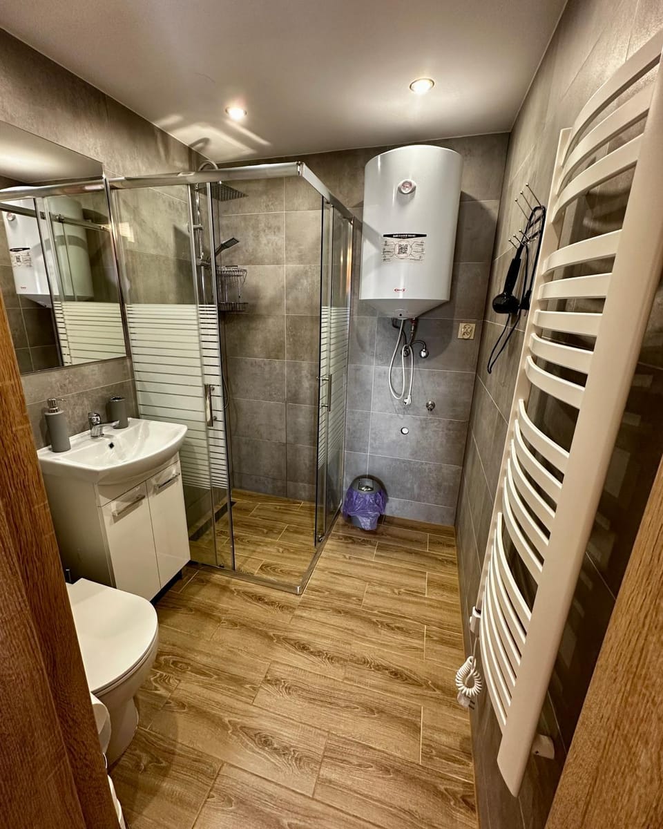 Shower, Toilet, Bathroom, dryer