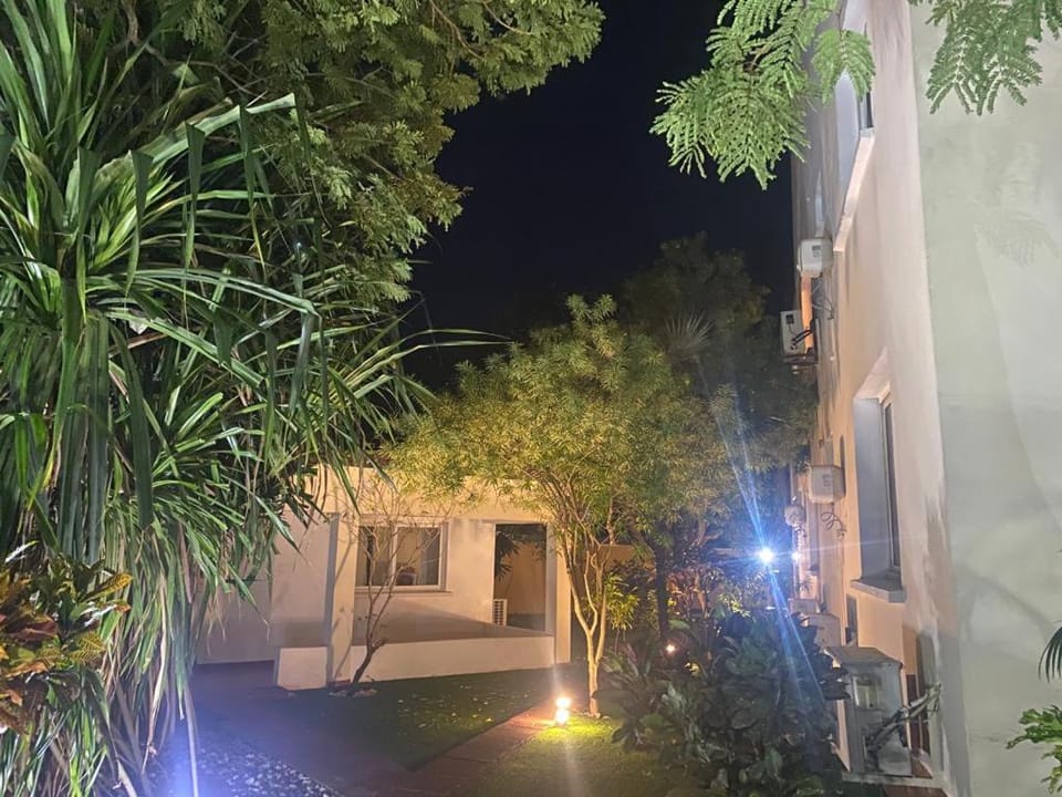 Night, Garden, Garden view