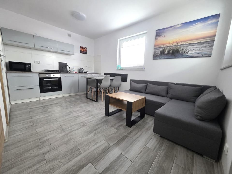 Kitchen or kitchenette, Living room, Seating area, Dining area, oven, stove