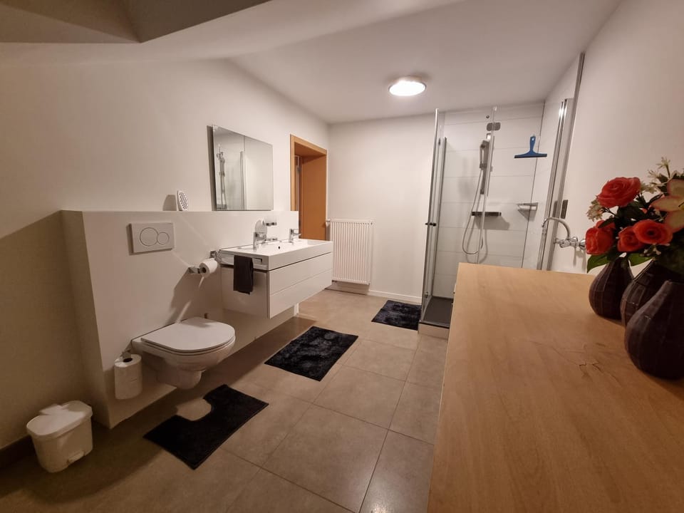 Toilet, Bathroom