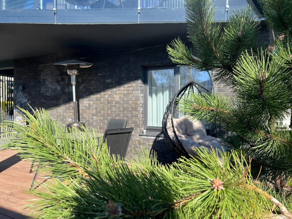 Patio, Patio, Garden, Inner courtyard view