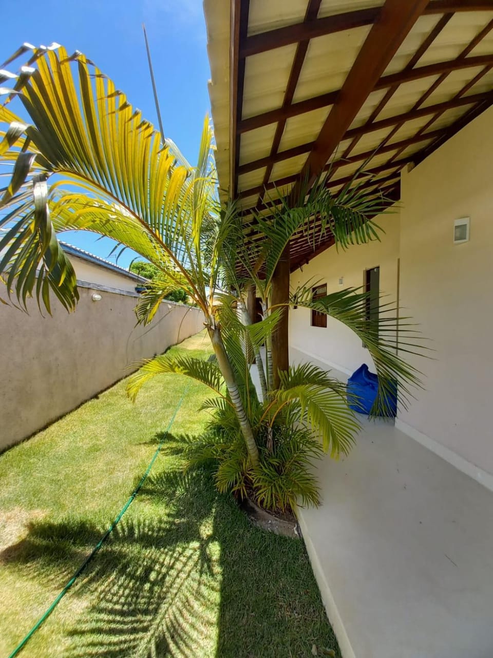 Patio, Garden