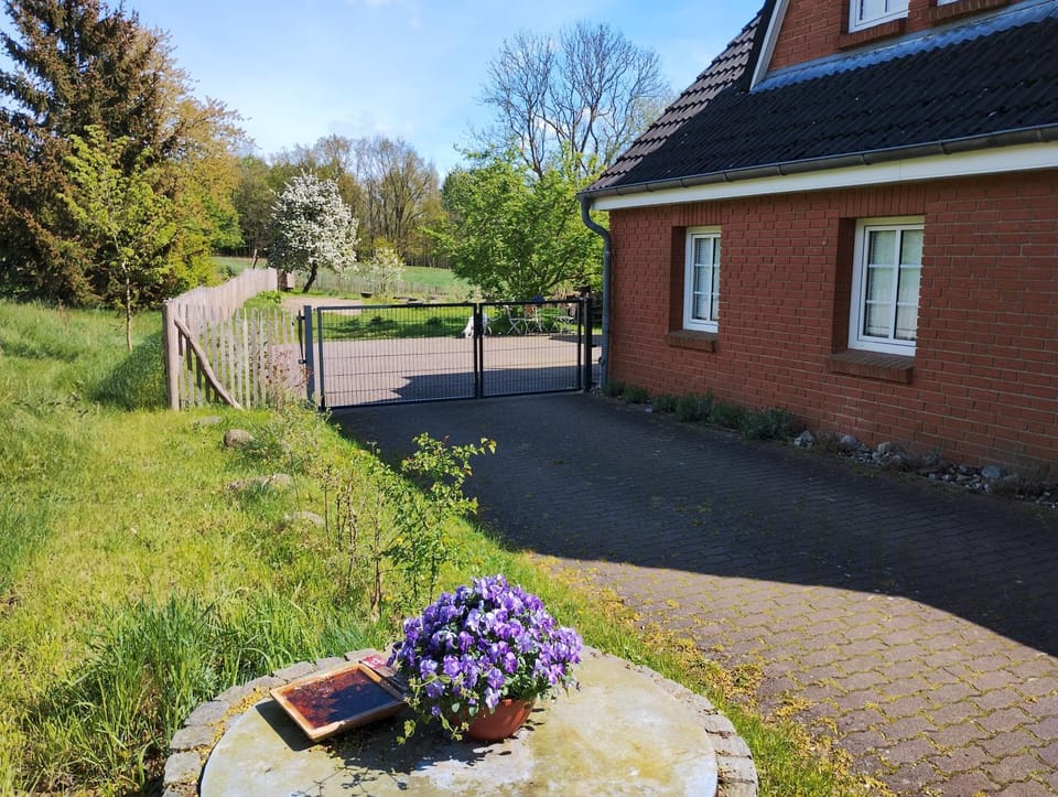 Garden, Garden view