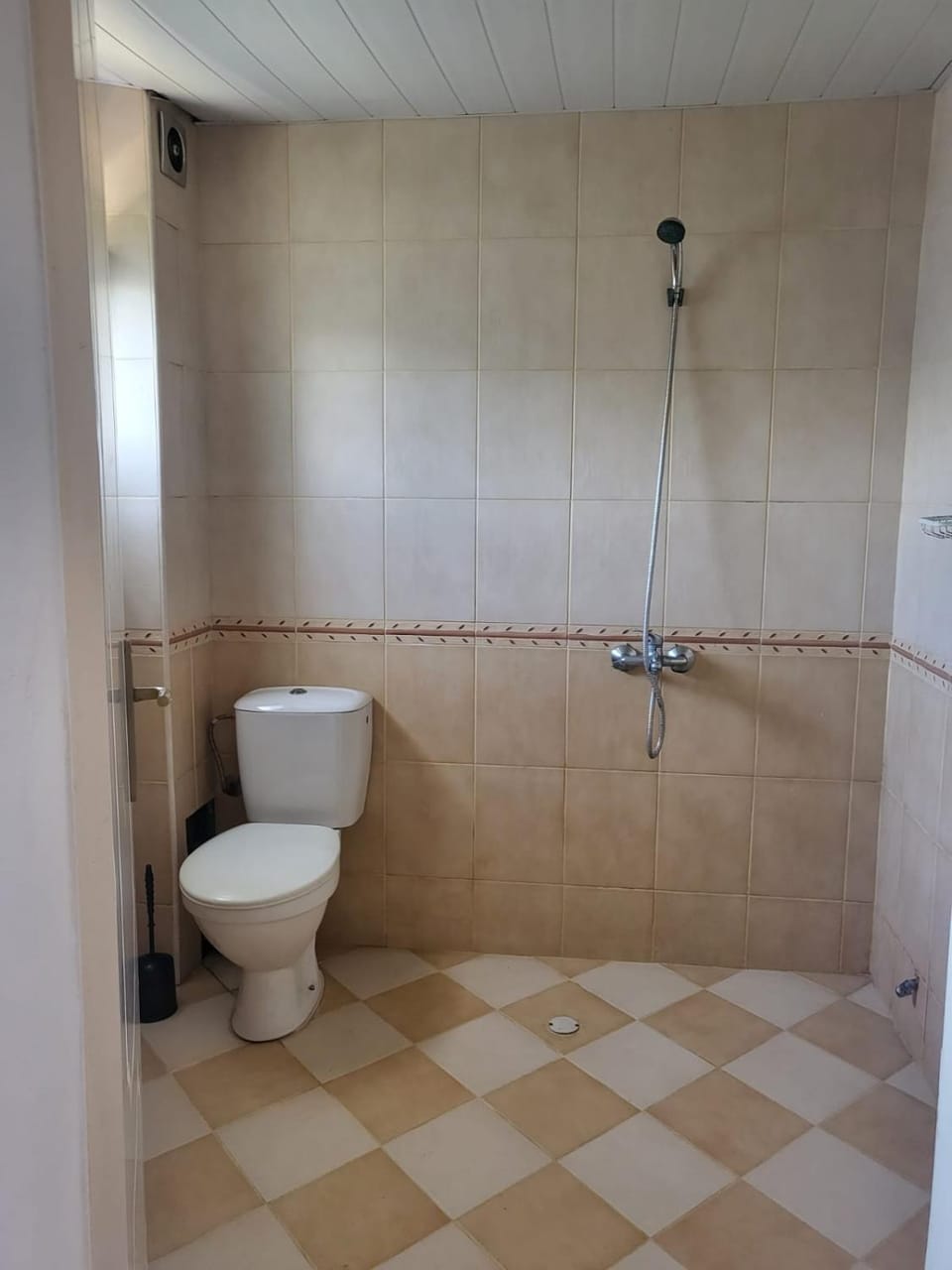 Toilet, Bathroom, bidet
