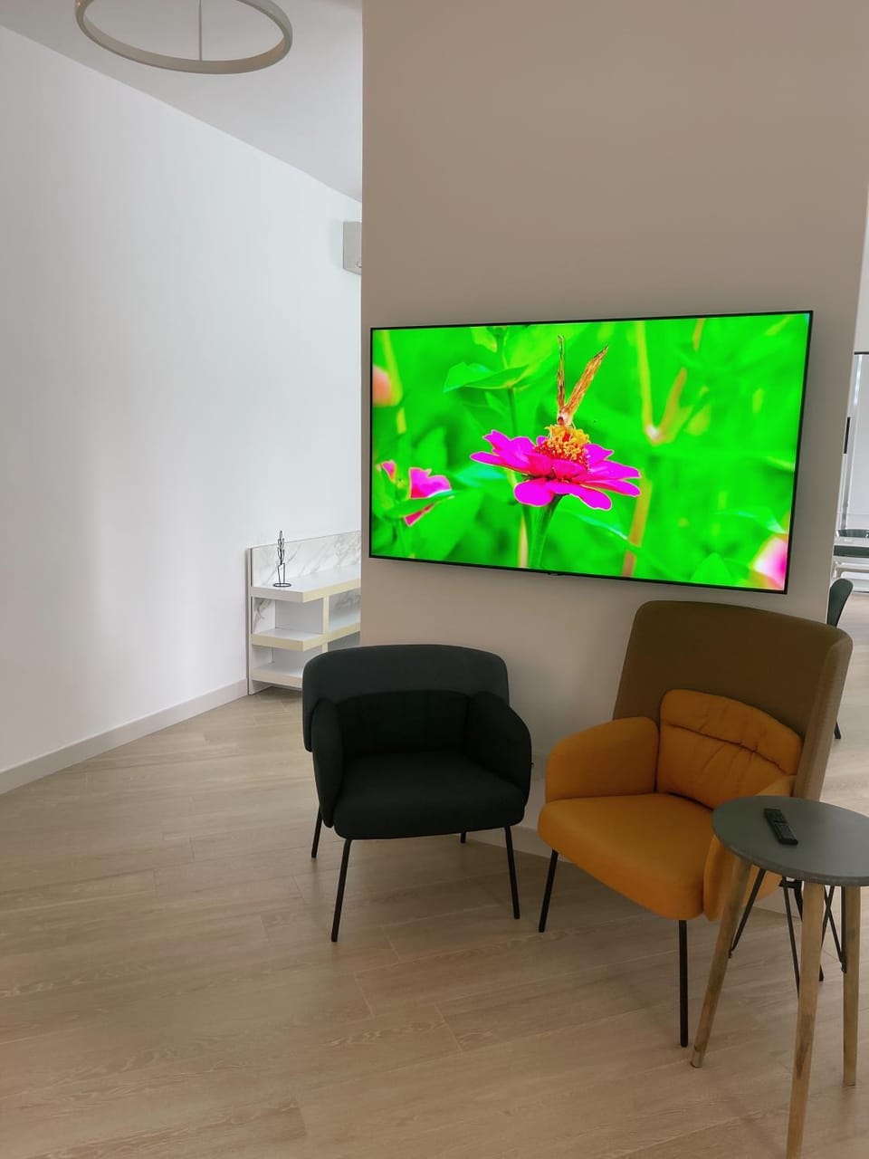 TV and multimedia