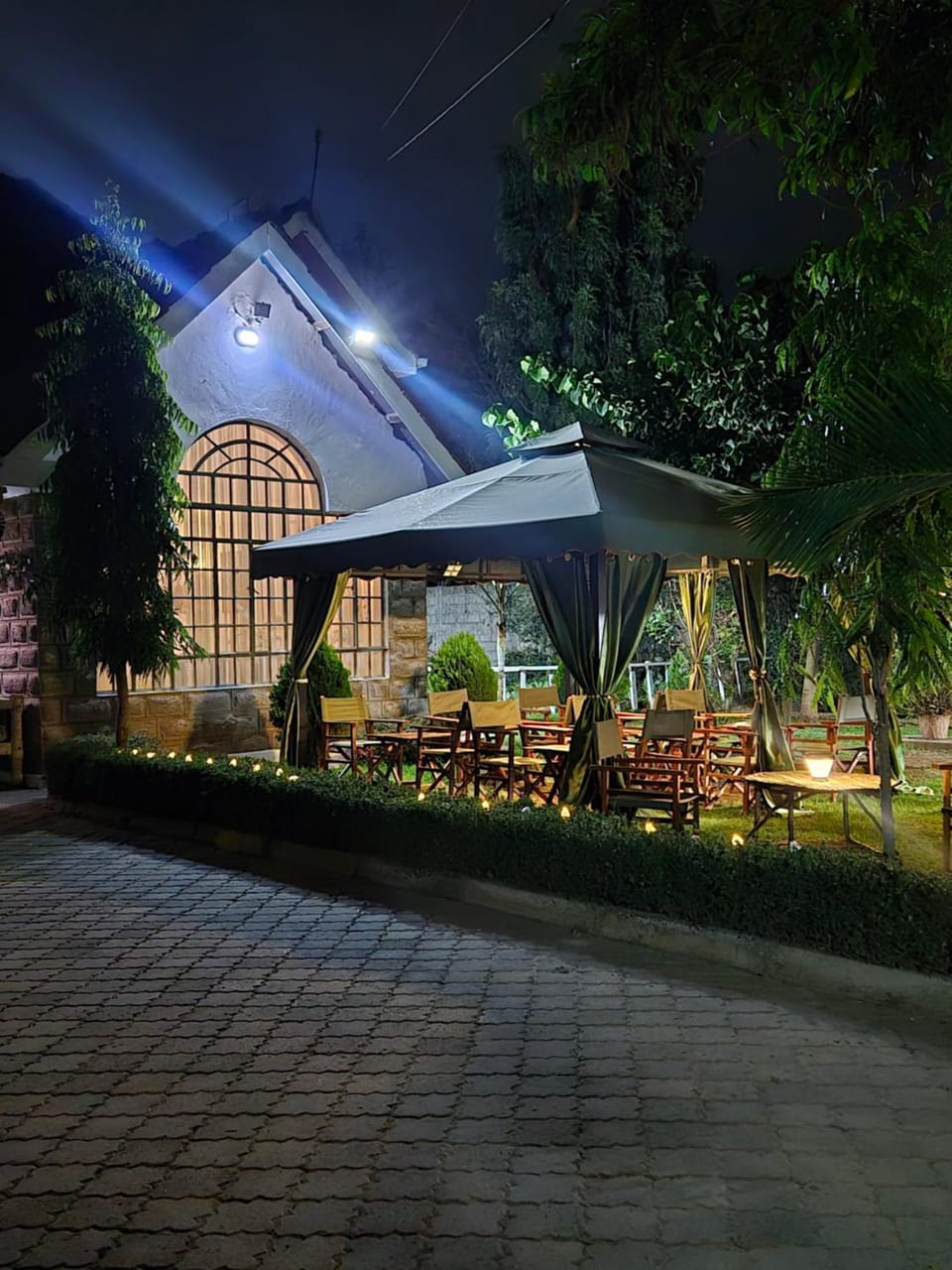 Night, Garden