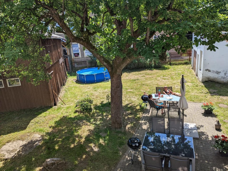 Garden view