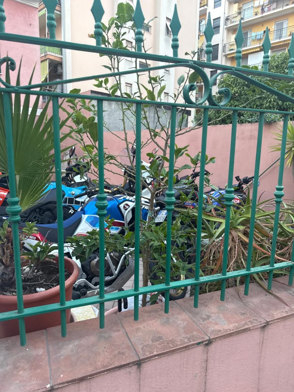 APPARTAMENTO SILVI Apartment in Ventimiglia