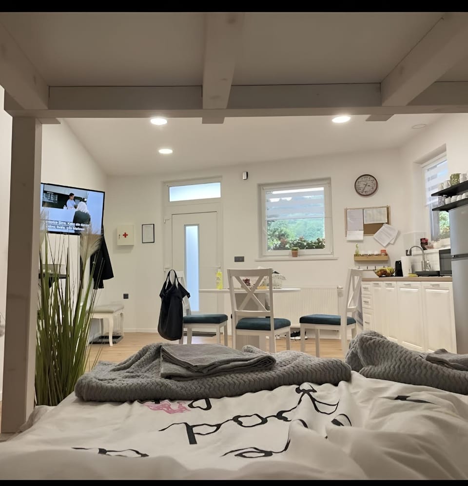 Bed, TV and multimedia, Kitchen or kitchenette, Living room, Seating area, Dining area, bunk bed, kitchen