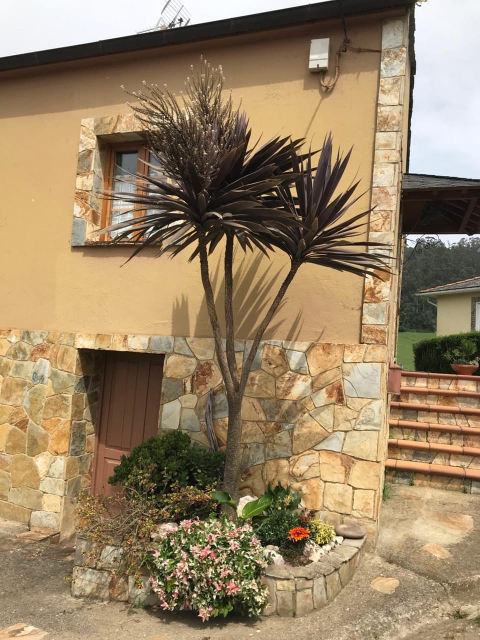 La Casa del Castaño House in Asturias