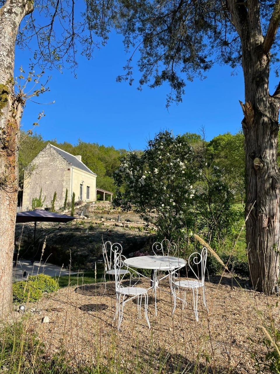 Natural landscape, Garden view