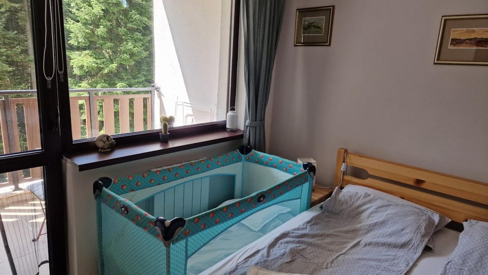 Pine Tree Apartment / Borovets Gardens Apartment in North Macedonia