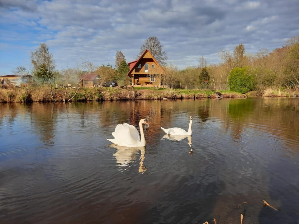 Natural landscape
