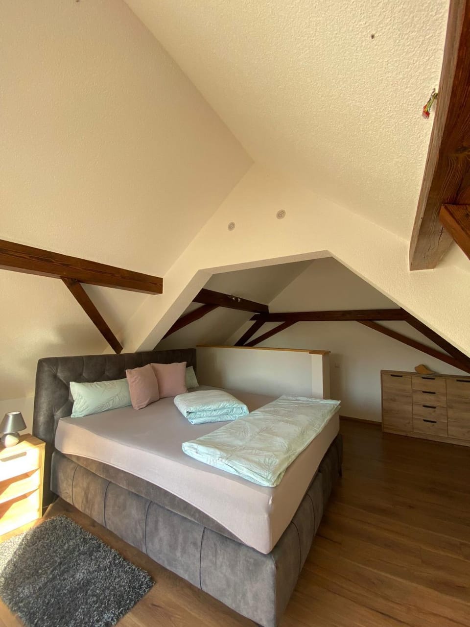 Ferienwohnung an der Unditz 3 Apartment in Ortenau