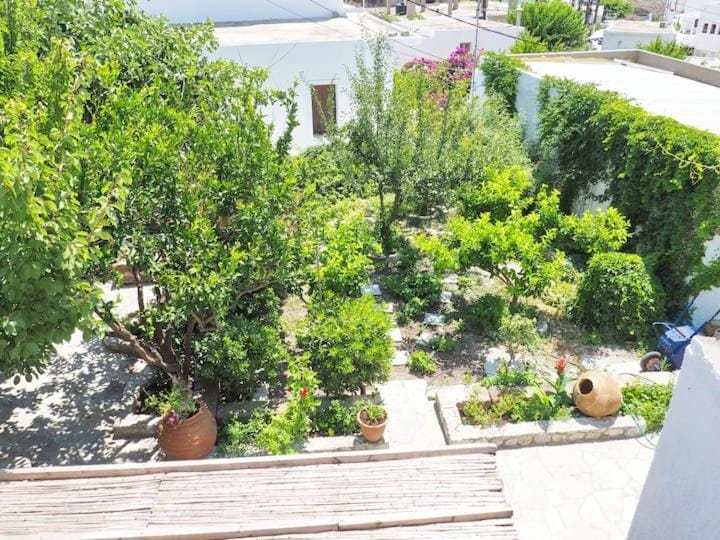 Cycladic House in Skiros Apartment in Euboea