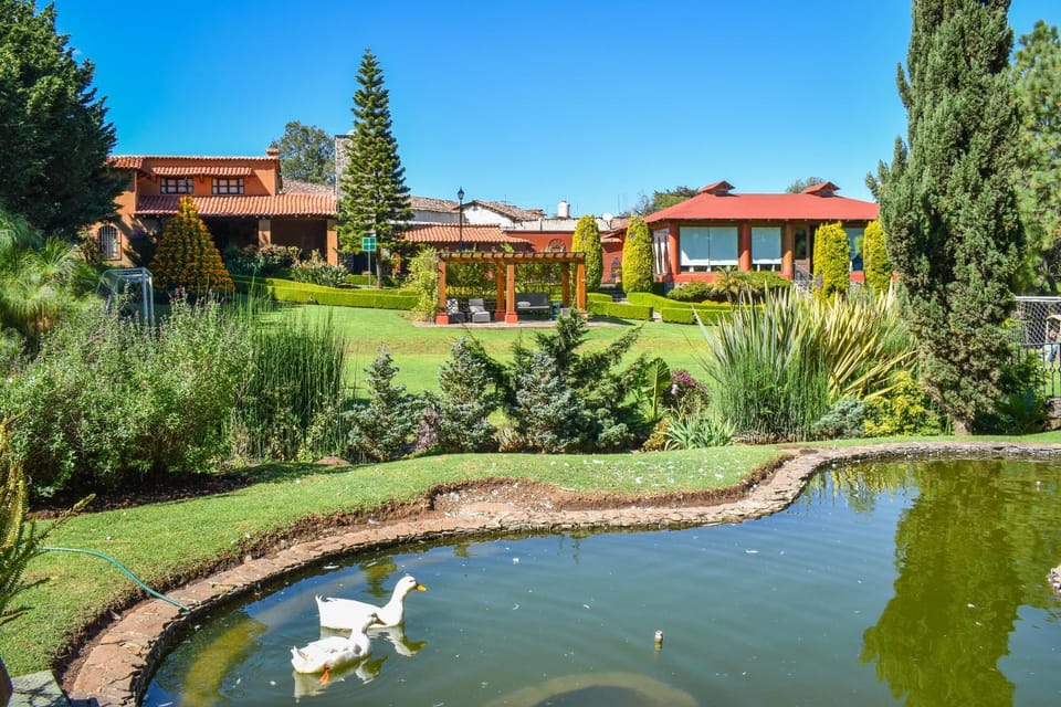 Quinta Tere Hotel & Gallery Hotel in State of Michoacán