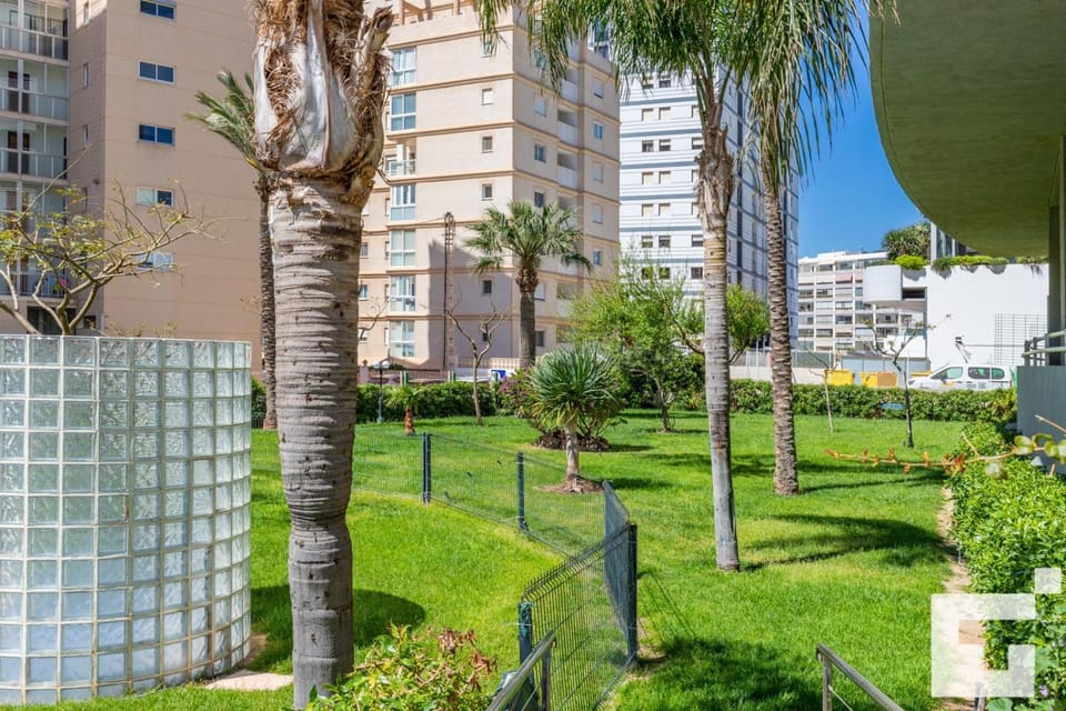 Garden, Swimming pool