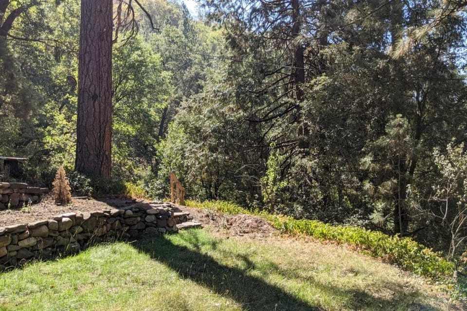 Pierce's Cabin Cabin in Sierra Nevada