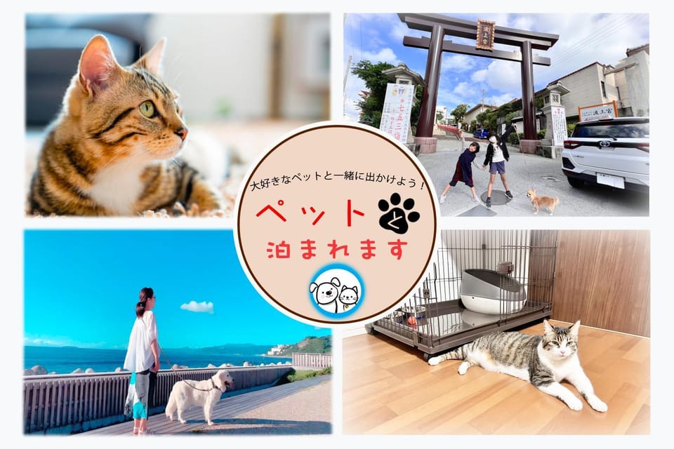 Animals, Animals, Animals, Text overlay, Pets, Pets, Pets, children, children, young children, young children, older children, older children, group of guests, group of guests, Family, Family, pet friendly, shuttle