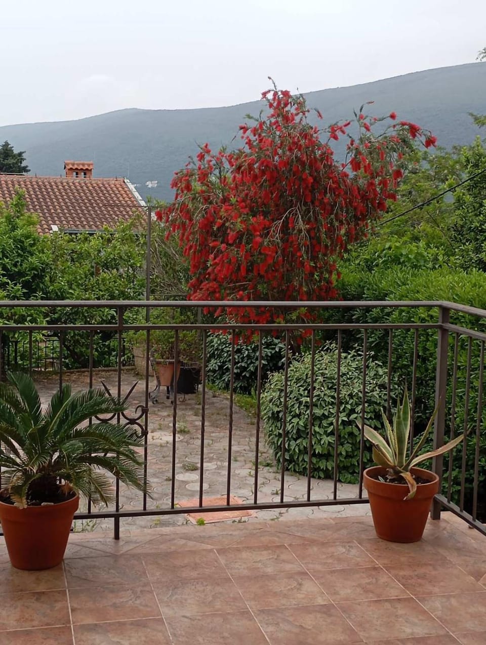 Garden, Garden view