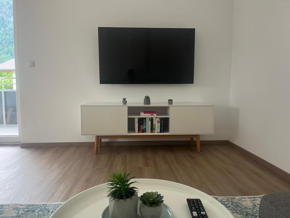 TV and multimedia