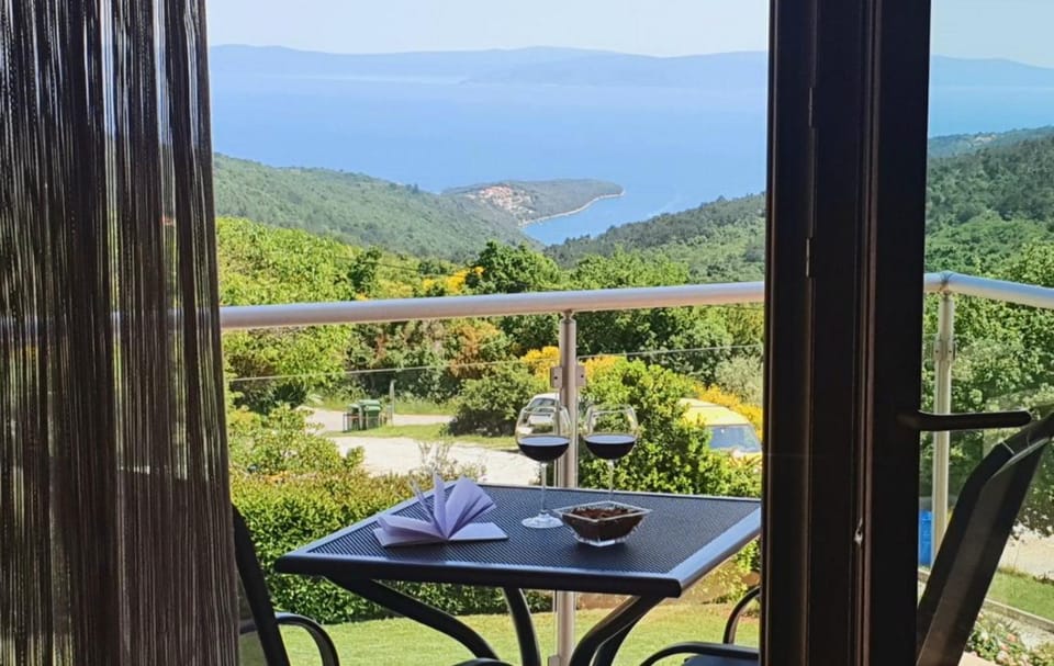 Casa Grande - Violette, Silver and Golden apartments with park and sea view Apartment in Istria County