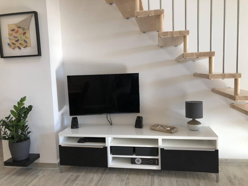 TV and multimedia