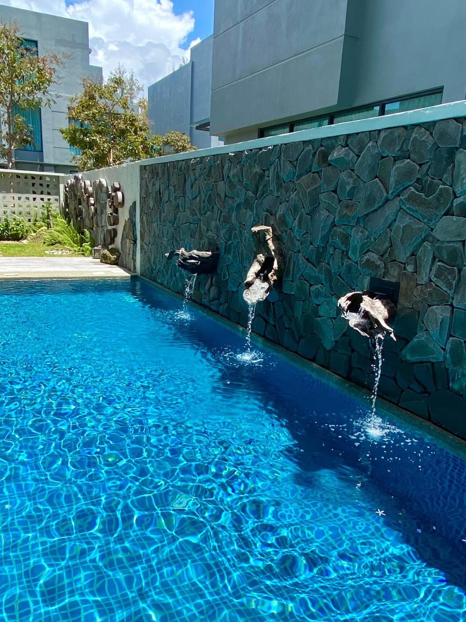 Swimming pool, Swimming pool