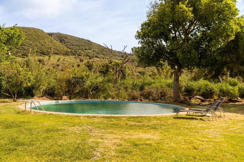 Finca Santa Teresa, Casa La Higuera Chalet in Costa del Sol