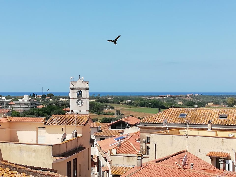 View (from property/room)
