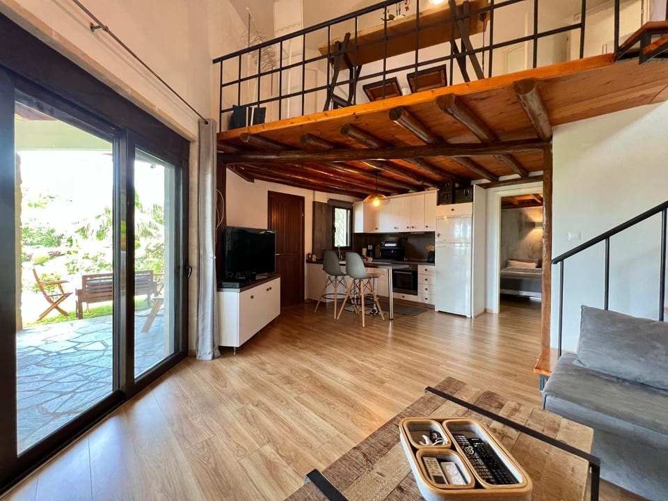 Living room, kitchen