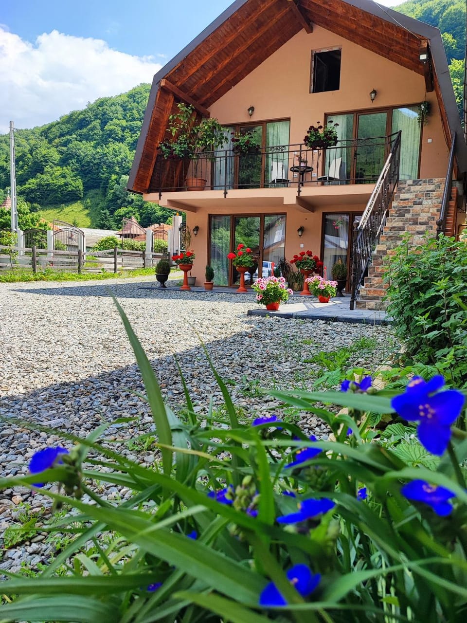 Casa de vacanta Estera Rucar Bed and Breakfast in Romania