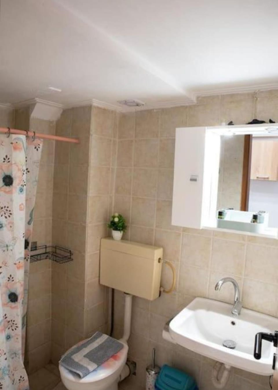Shower, Toilet, Bathroom