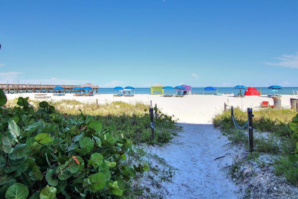 Sand Dollar 101 House in Redington Shores