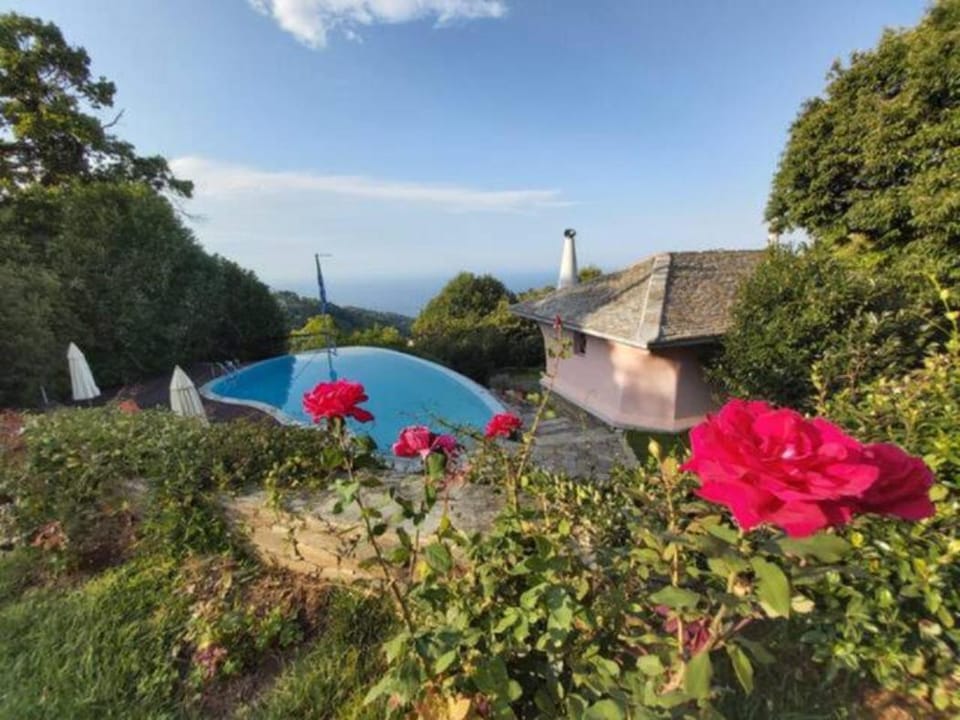 Natural landscape, Garden, Sea view, Swimming pool
