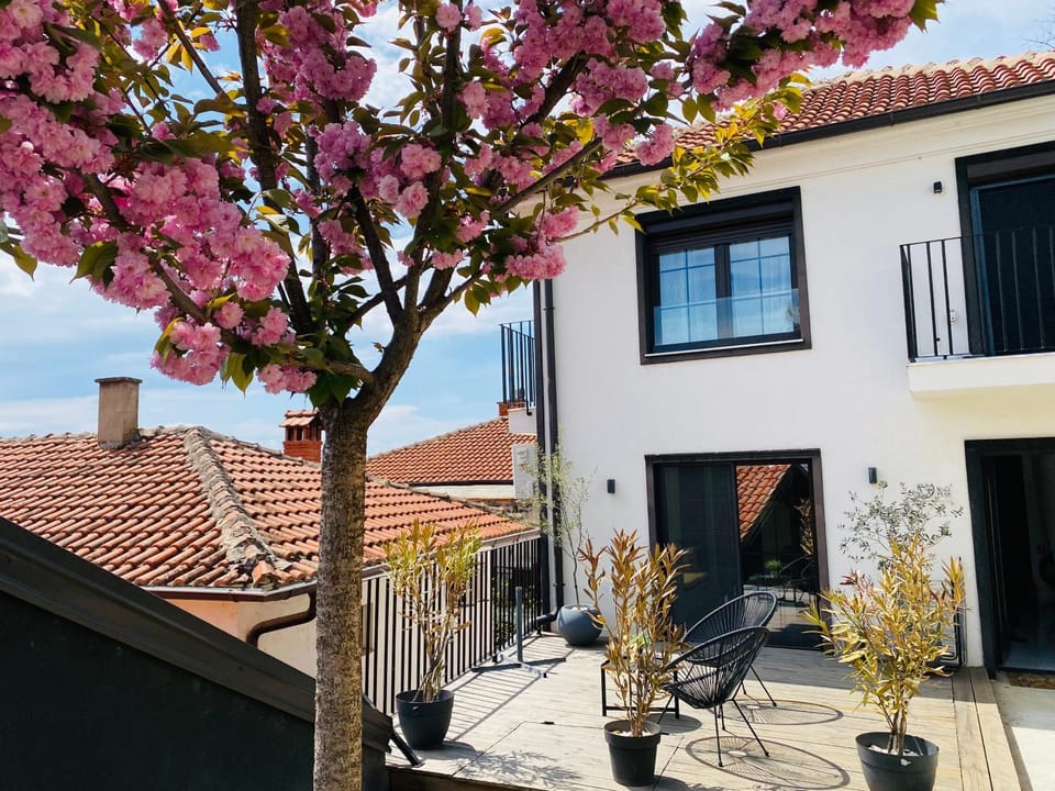 Wild Pear Old Town boutique accommodation Bed and Breakfast in Ohrid