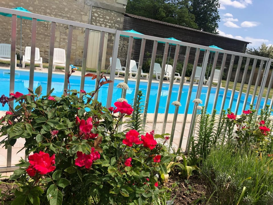 Swimming pool, Swimming pool